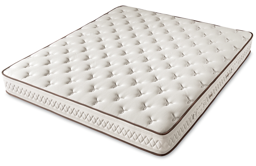 Dorsopedic Eminence Climatizzato